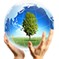ENVIRONMENT